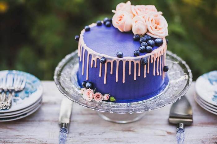 Cake decorating beginners designs step